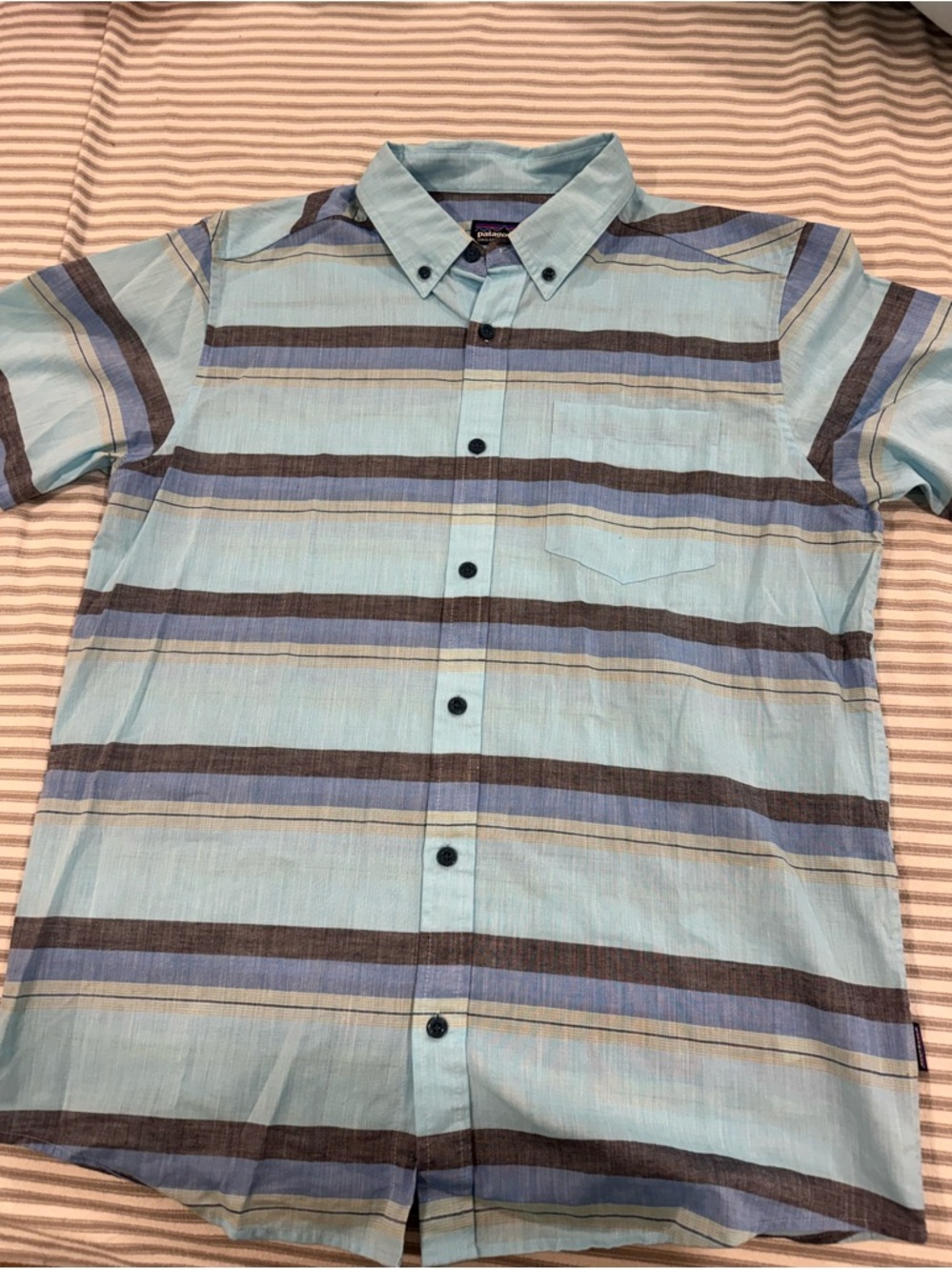 Patagonia Men's Light Blue Striped Button-Down Shirt